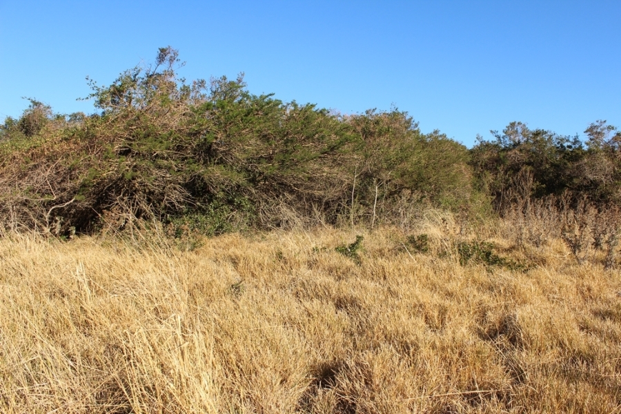 0 Bedroom Property for Sale in Khamanga Bay Eastern Cape